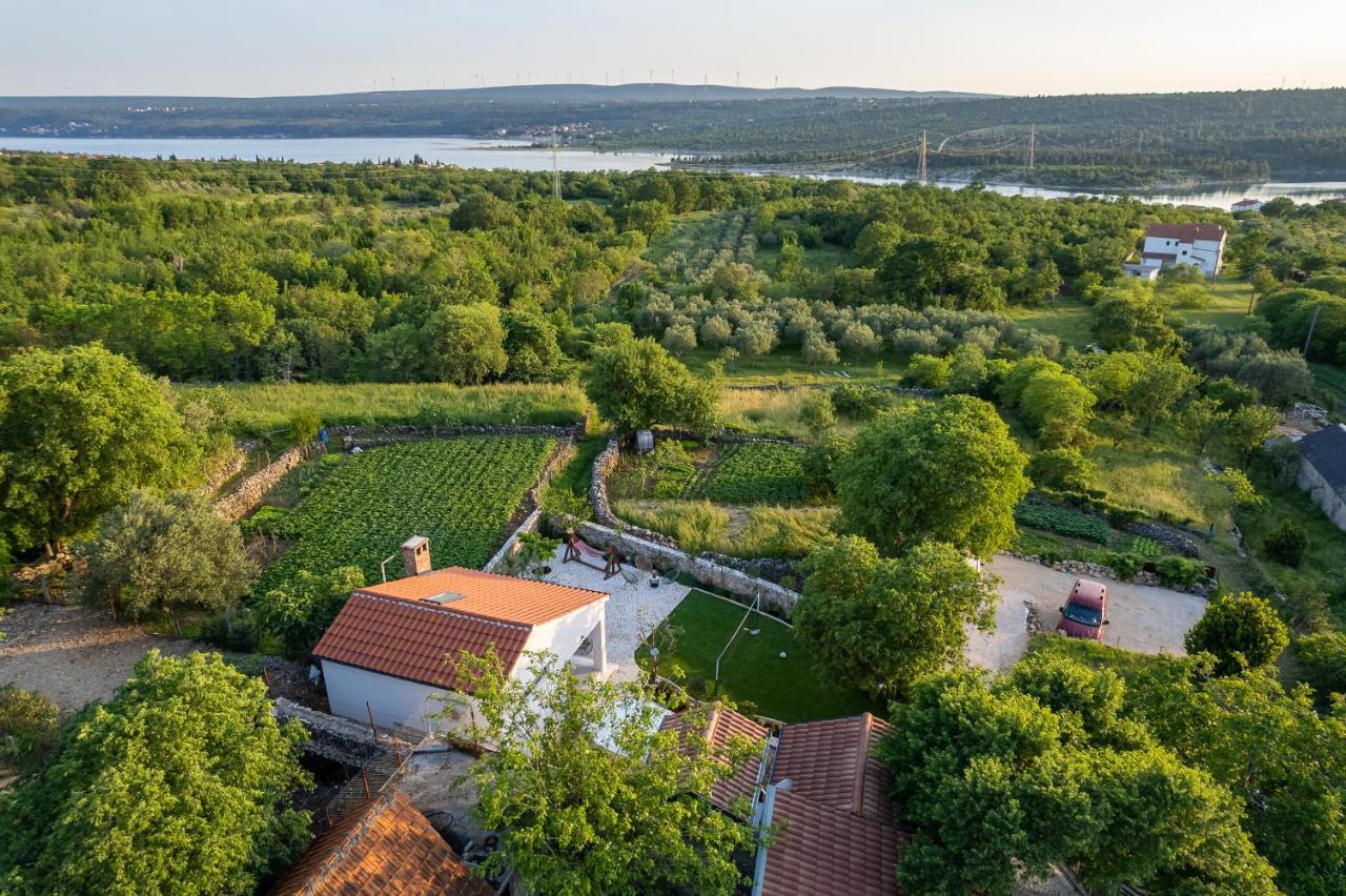 Holiday Home - Villa Thorak Anić المظهر الخارجي الصورة