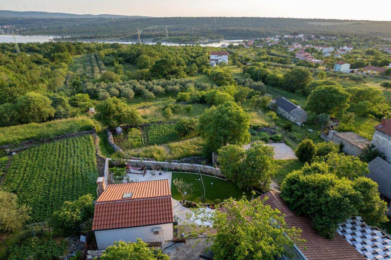 Holiday Home - Villa Thorak Anić المظهر الخارجي الصورة