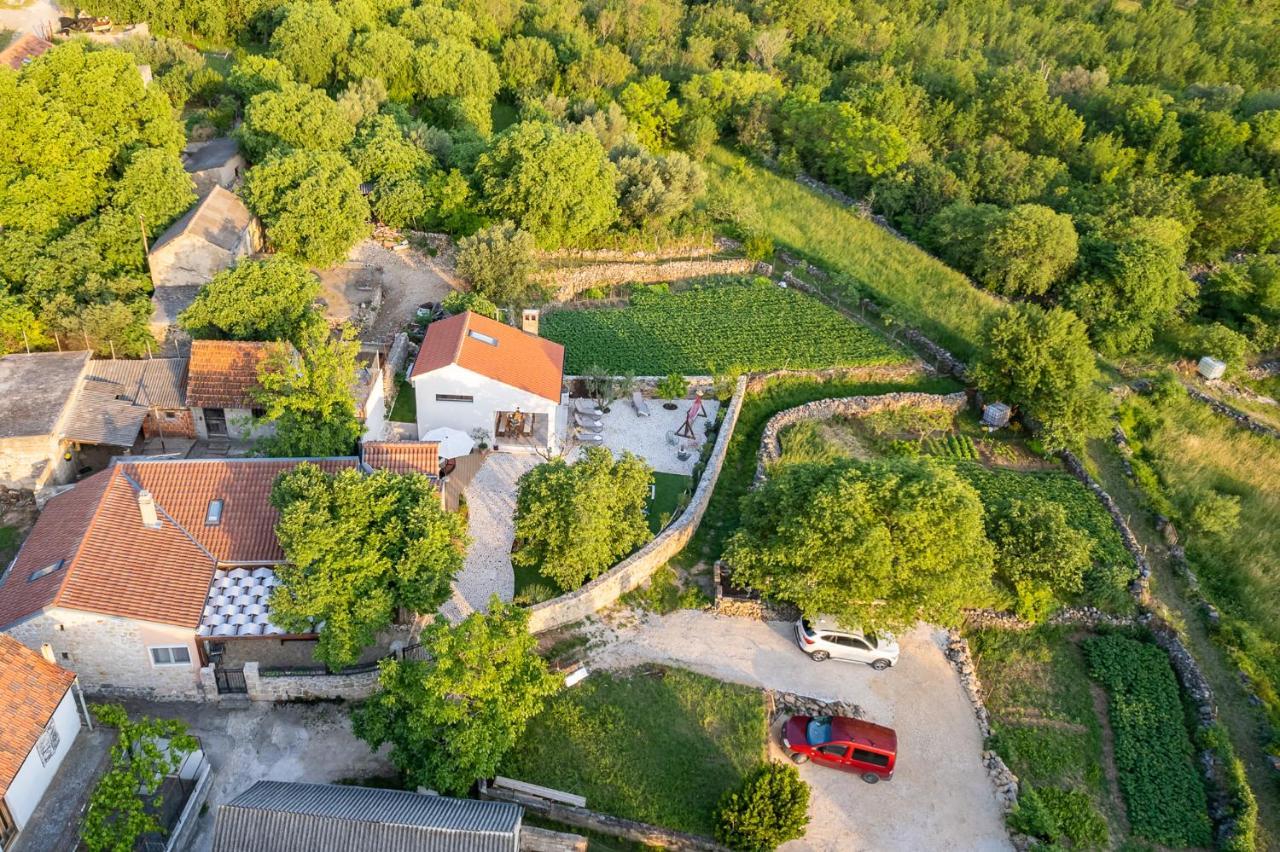 Holiday Home - Villa Thorak Anić المظهر الخارجي الصورة